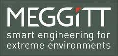 Voici le logo de la marque MEGGITT (SENSOREX) qui représente son identité graphique.