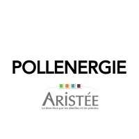 Voici le logo de la marque POLLENERGIE qui représente son identité graphique.