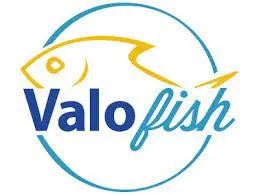 Voici le logo de la marque VALOFISH qui représente son identité graphique.