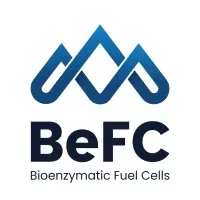 Voici le logo de la marque BEFC qui représente son identité graphique.